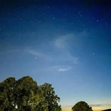 Bovenappartement In Met Balkon En Uitzicht Over Het Bos