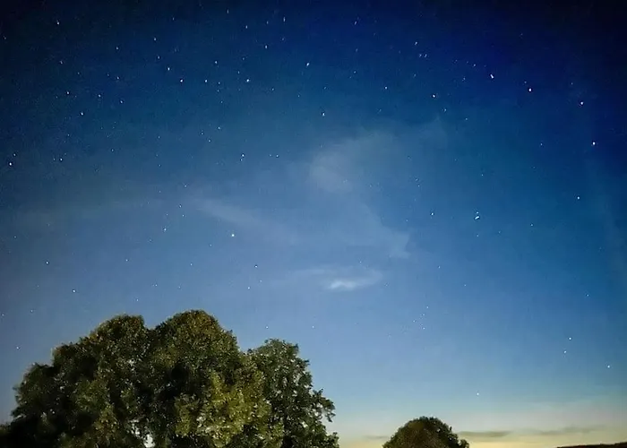 Bovenappartement In Met Balkon En Uitzicht Over Het Bos